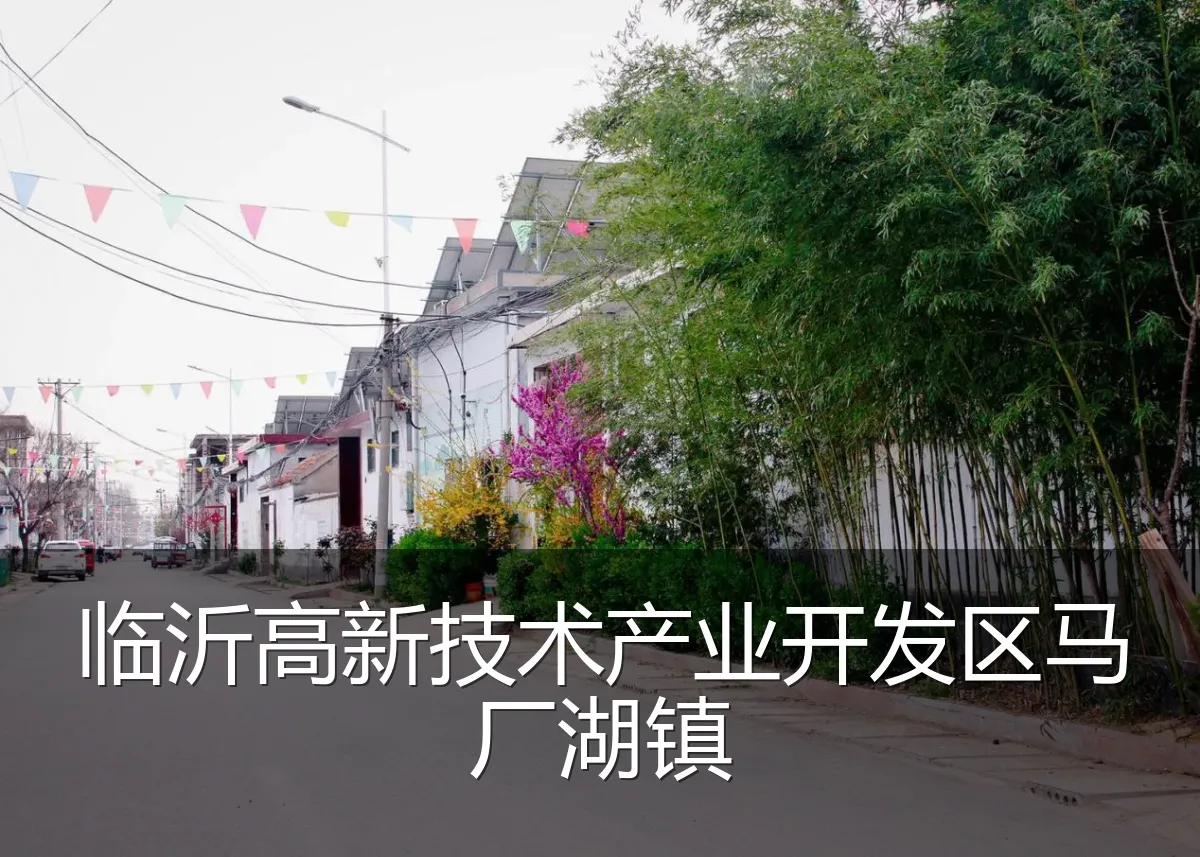 临沂高新技术产业开发区马厂湖镇